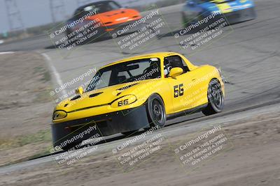 media/Oct-21-2023-Speed Ventures (Sat) [[ddf75163c5]]/Green/Grapvine/
